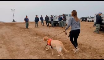 Lake Fire First Responder Therapy Dogs